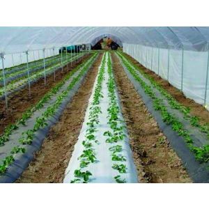 VETISA FOLIJA LIRSA ČRNA 1,2 m širine - 0,04 mm, paket  100 TM