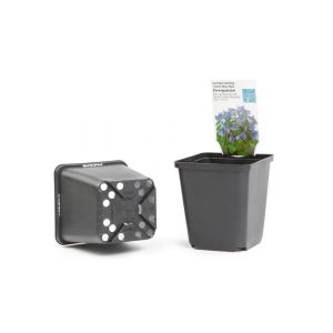 GOTT LONČKI 9x9x9,5cm ME/ČRNI/Karton/1056 kom x16=16.896