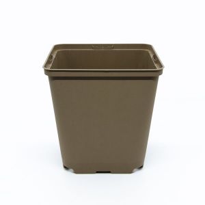 GOTT LONČKI 13x13x13cm E/Beige- 100% recikliran material/Eurotray/9720 kom