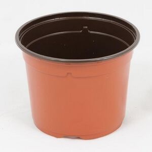 SOPARCO-Lončki DUO 10,5cm/LOW/5/TERRACCOTA/Rjavi 15.840 kom box/pal