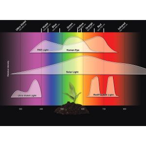 STEPS 32020 - LUX multimeter - M. za svetlobo