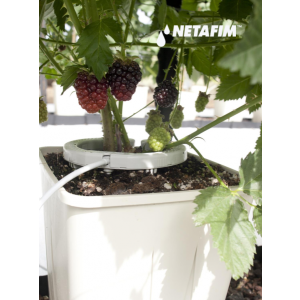 Namak- NETAFIM KAPLJALNI OBROČ ''NetBow'' 12cm / 2,0-8,0L/H- Cena na kom