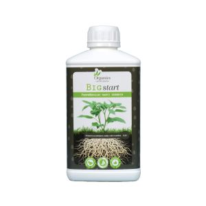 Organics nutrients - Big start 1 L