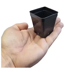 BAMAP- VASO QUADRO 5x5x6/NERO/črna/0,12L/54000/P