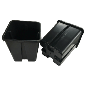 BAMA-QUADRO ANTISPIRALIZZAZION-PROTI VRTENJU KORE18x18x23 PP/NERO/črn/6,5L/3000P