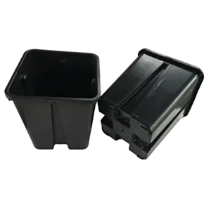 BAMA-QUADRO ANTISPIRALIZZAZION-PROTI VRTENJU KORE18x18x23 PP/NERO/črn/6,5L/3000P