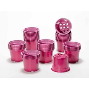 SOPARCO-barvni lončki 10,5cm/5/FUCHSIA/ROZA 920x30=27600 kom