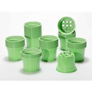 SOPARCO-barvni lončki 10,5cm/low 5/GREEN EB/zelen 920x30=27600 kom