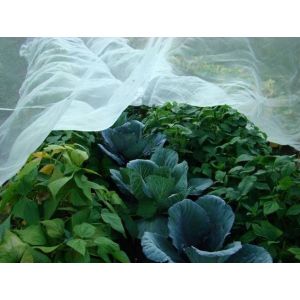 Mreža za zaščito pred insekti X24,0,8x0,8mm / 5 m x 10m /kos