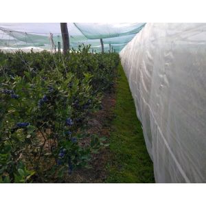 PROTIINSEKTNA MREŽA GOSTA 0,39 mm x 0,83 mm x 2 M - cena tm