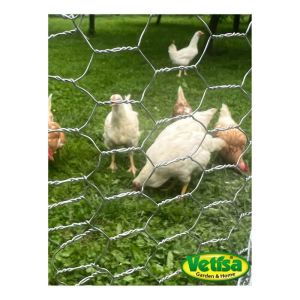 Vetisa-METAL- Hexagonal mesh -Šestkotna pocinkana mreža 13/0,7/1000 RO 50 M