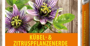 Gramoflor - Substrati za posodovke in surfinije