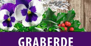 Gramoflor - Substrati za grobove