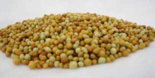 Dolgotrajno oplaščeno gnojilo s kontroliranim sproščanjem - Mivena